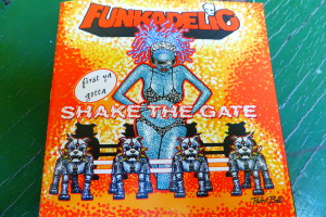 Funkadelic - First Ya Gotta Shake the Gate (2014)