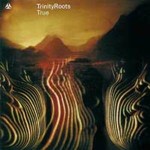 Trinity Roots - True (2001)