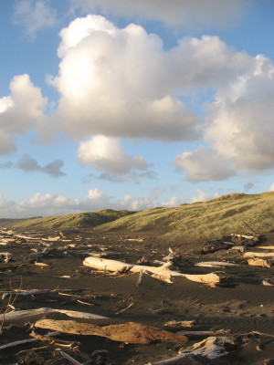 Aotearoa New Zealand
