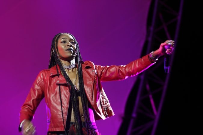 Thievery Corporation concert - WOMADelaide 2018